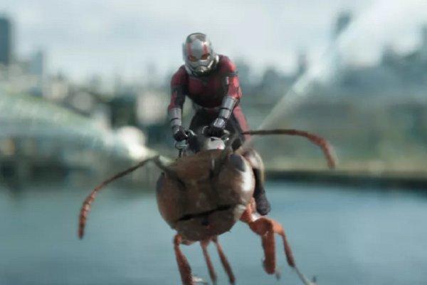 مورچه ای ها نیم میلیاردی شدند، استقبال از فیلم در چین