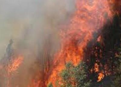 برزیل: آمریکا برای مهار آتش سوزی در جنگل های آمازون یاری خاصی نمی کند