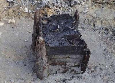 قدیمی ترین سازه چوبی جهان کشف شد قدیمی ترین سازه چوبی جهان کشف شد