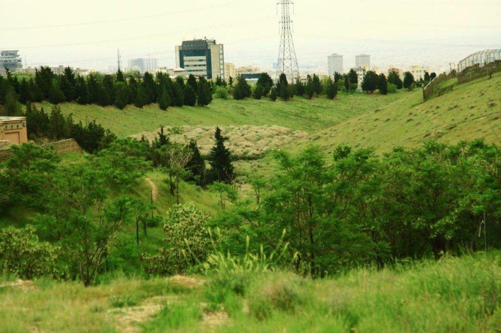تمامی بوستان های جنگلی شمال شرق تهران تا اطلاع ثانوی تعطیل تمامی بوستان های جنگلی شمال شرق تهران تا اطلاع ثانوی تعطیل شد