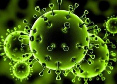 شناسایی 7 گونه جدید ویروس کرونا حاوی موتاسیون در آمریکا