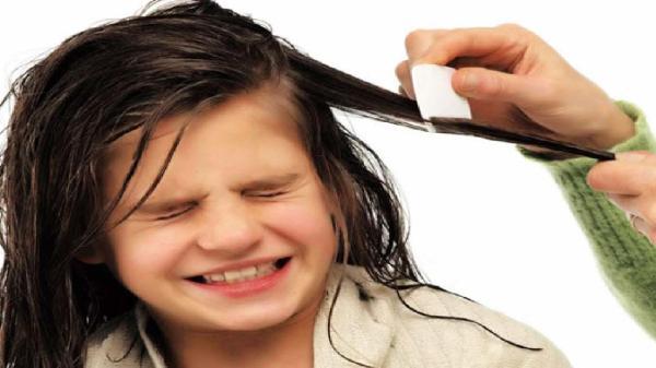 راهکارهای موثر در بلند شدن سه سوته موی سر