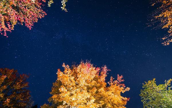 رویدادهای نجومی آسمان شب پاییز 1405؛ از مقارنه ماه و زحل تا بارش های شهابی